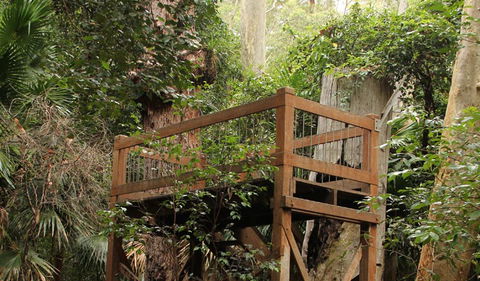 Durras Lake Discovery Trail - Kawana Tourism 3
