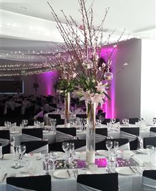 Cookabarra Restaurant And Function Centre - Tailor Made Fish Farms - Kawana Tourism 5