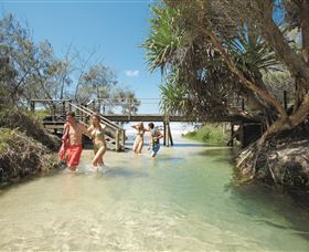Eli Creek - Kawana Tourism 1