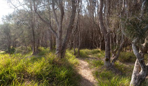 Murramarang Aboriginal Area Walking Track - Kawana Tourism 1