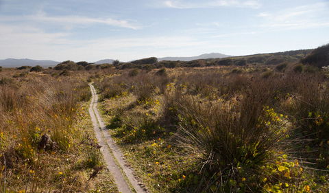 Murramarang Aboriginal Area Walking Track - Kawana Tourism 2