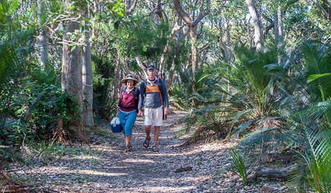 Myrtle Beach Walking Track - Kawana Tourism 0