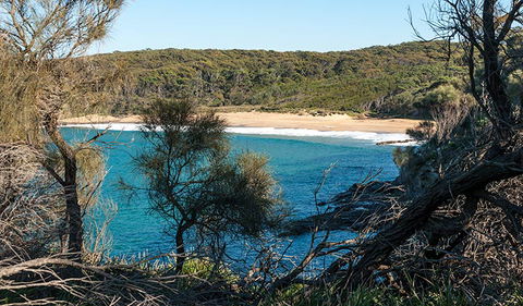 Myrtle Beach Walking Track - Kawana Tourism 2
