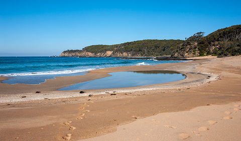Myrtle Beach Walking Track - Kawana Tourism 3