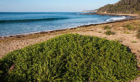 Richmond Beach - Kawana Tourism 0