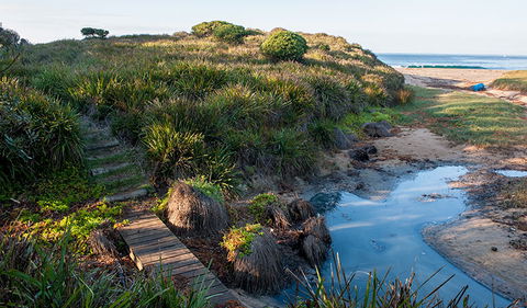Richmond Beach - Kawana Tourism 1