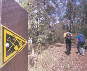 Greenbushes Loop - Kawana Tourism 1