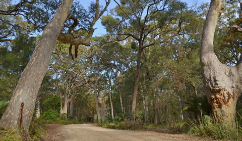 North Head Lookout - Kawana Tourism 1