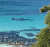Jervis Bay Marine Park - Kawana Tourism