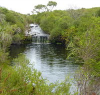 Booderee National Park Green Patch and Telegraph Creek Walking Tracks - Kawana Tourism