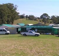 Tinonee Orchid Nursery - Kawana Tourism