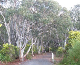 Booderee National Park: Munyunga Waraga Dhugan Walking Trail - Kawana Tourism 3