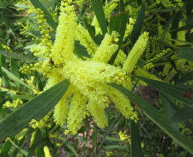 Booderee National Park: Munyunga Waraga Dhugan Walking Trail - Kawana Tourism 1