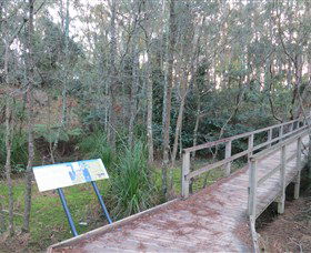Booderee National Park: Munyunga Waraga Dhugan Walking Trail - Kawana Tourism 8