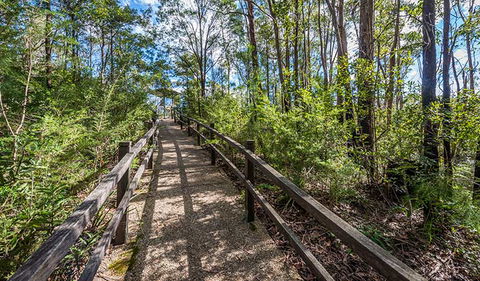 Flat Rock Lookout - Kawana Tourism 2