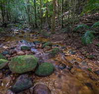 Starrs Creek picnic area - Kawana Tourism
