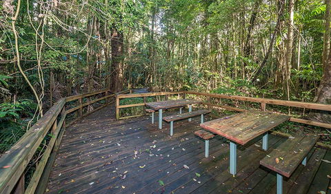 Starrs Creek Picnic Area - Kawana Tourism 1