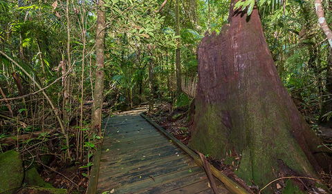 Starrs Creek Picnic Area - Kawana Tourism 2