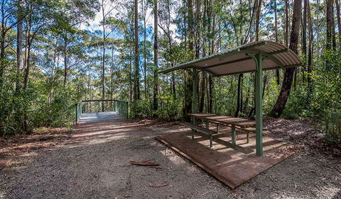 Big Nellie Lookout And Picnic Area - Kawana Tourism 0