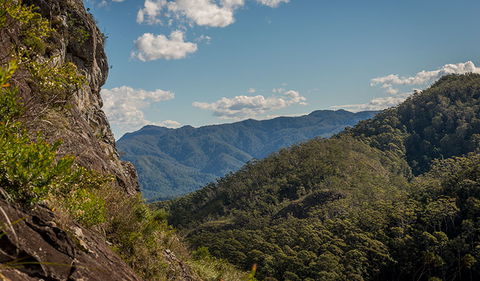 Big Nellie Lookout And Picnic Area - Kawana Tourism 1