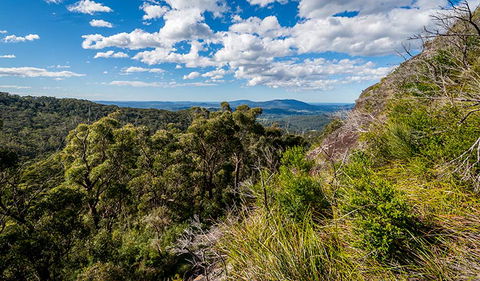 Big Nellie Lookout And Picnic Area - Kawana Tourism 2