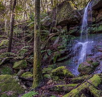 Coorabakh National Park - Kawana Tourism