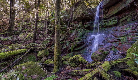 Coorabakh National Park - Kawana Tourism 0