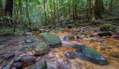 Coorabakh National Park - Kawana Tourism 1