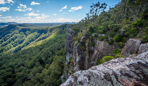 Coorabakh National Park - Kawana Tourism 3