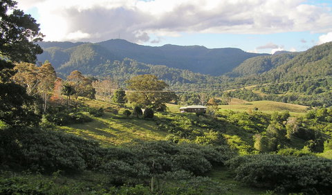 Mount Nardi Picnic Area - Kawana Tourism 0
