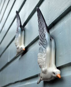 Kingstudio Gallery - Kawana Tourism 5