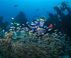 Aarhus Dive Site - Kawana Tourism 0