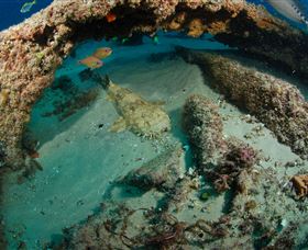 Aarhus Dive Site - Kawana Tourism 3