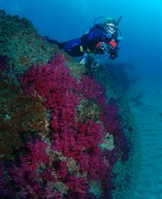 Aarhus Dive Site - Kawana Tourism 2
