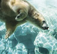 Australia's Sea World - Kawana Tourism