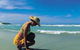Diamond Beach - thumb 0