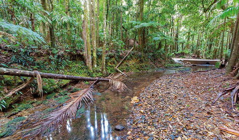Ulidarra National Park - Kawana Tourism 0