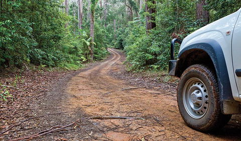 Ulidarra National Park - Kawana Tourism 2