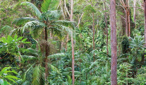 Ulidarra National Park - Kawana Tourism 3