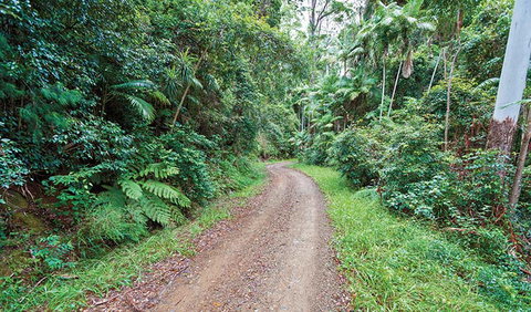 End Peak Walking Track - Kawana Tourism 2