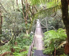 Bellbird Creek ACT Kawana Tourism