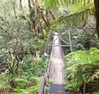 Bemm River Scenic Reserve - Kawana Tourism
