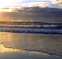 Handkerchief Beach Picnic Area - Kawana Tourism