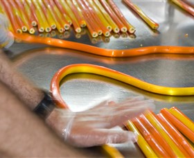 The Big Banana - Kawana Tourism 4