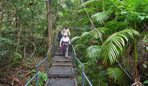 Falls Walking Track - Kawana Tourism 2