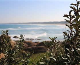 Cape Conran VIC Kawana Tourism