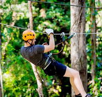 TreeTop Challenge Currumbin - Kawana Tourism