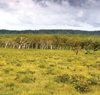 Yuraygir National Park - Kawana Tourism