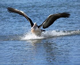 John Barton Photography - Kawana Tourism 1