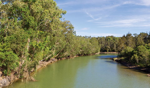 Woolgoolga Lake - Kawana Tourism 1